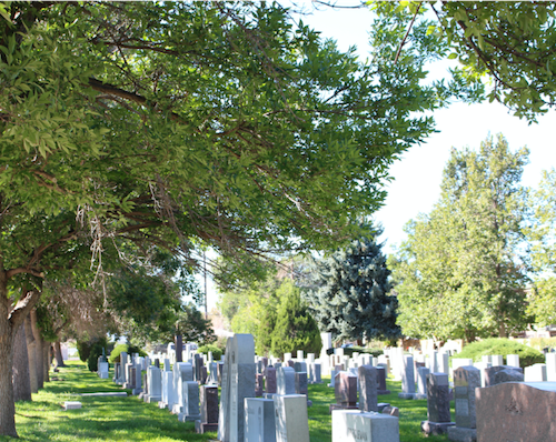 Visitors paying respects